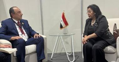 وزير قطاع الأعمال العام يعقد اجتماعًا مع الرئيسة التنفيذية لوكالة تنمية أفريقيا