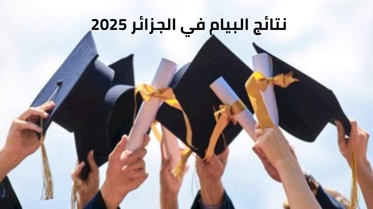 “باستخدام الرقم السري”.. رابط الاستعلام عن نتائج البيام في الجزائر 2025 عبر الديوان الوطني bem.onec.dz