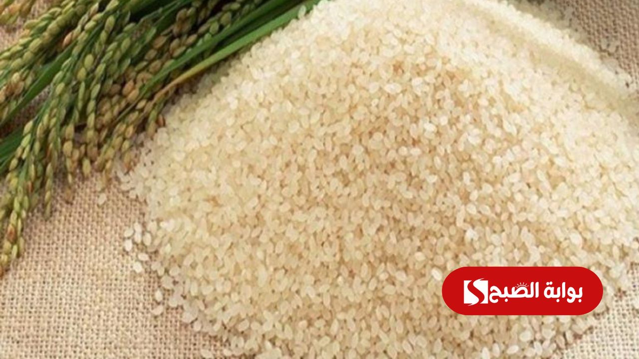سعر طن الارز الشعير اليوم